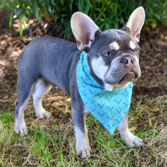 Chasin' Tail Dog Designs PDX Carpet Dog Bandana, Medium