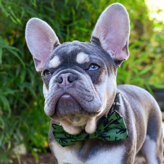 Chasin' Tail Dog Designs Bigfoot Green Bow Tie