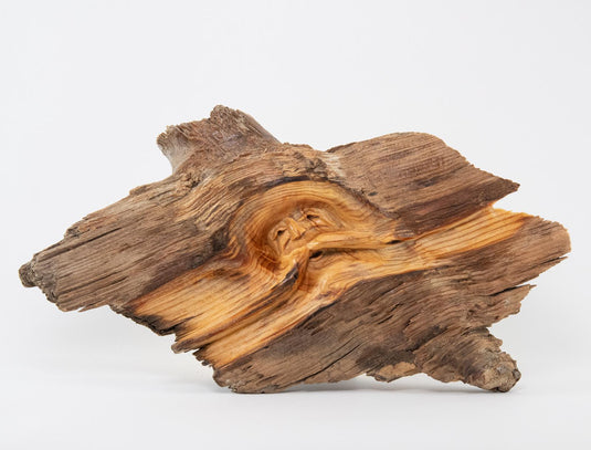 Knothead Carving, Small