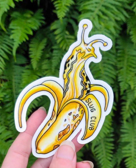 Slug Club Banana Slug Sticker