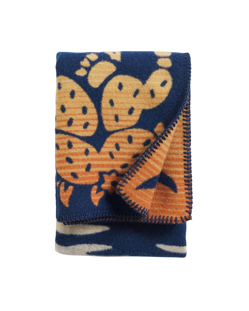 Load image into Gallery viewer, Pendleton Desert Dream Muchacho Wool Baby Blanket
