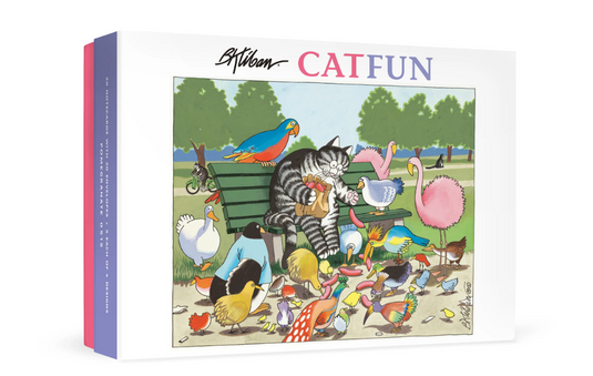 B. Kliban CatFun Boxed Notecard Assortment