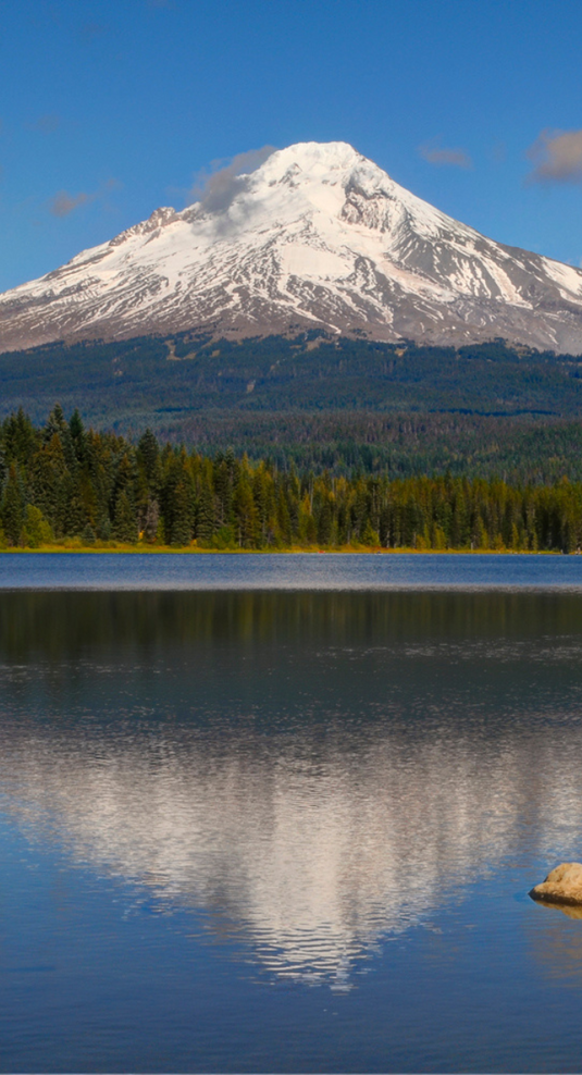 Mobile-Family-Owned-Since-1975