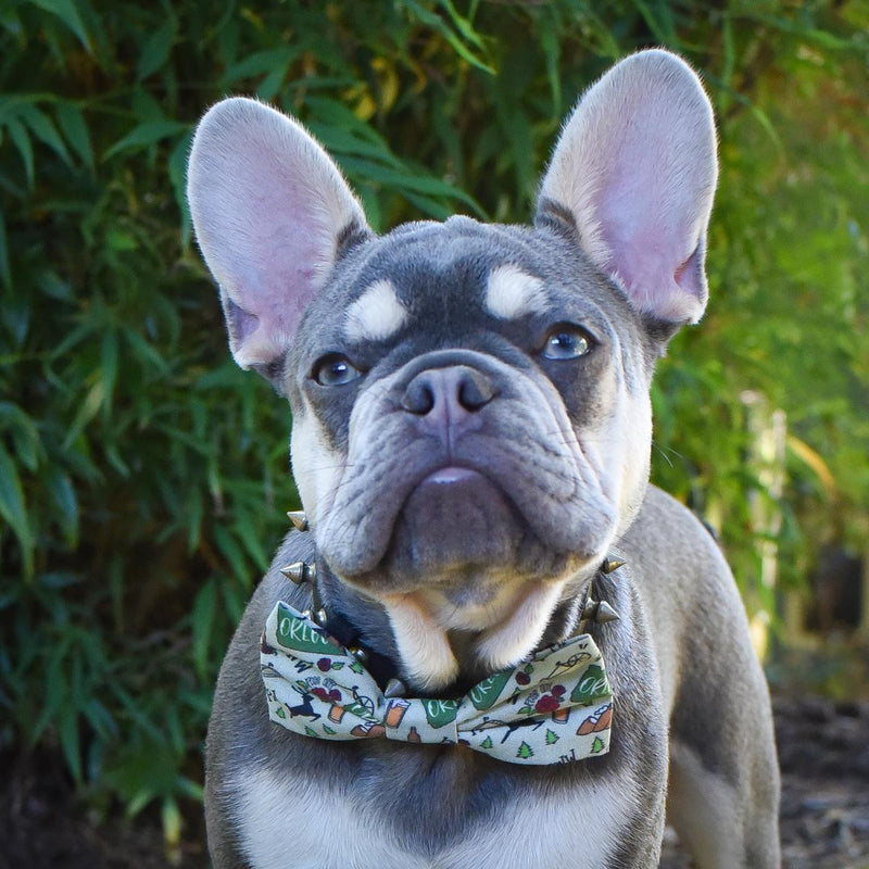 Load image into Gallery viewer, Chasin&#39; Tail Dog Designs PNW Bow Tie
