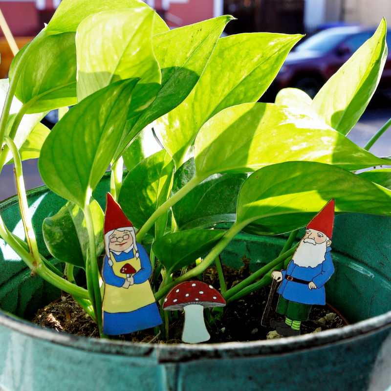 Load image into Gallery viewer, Fancy Plants Gnomes Diorama Kit lifestyle photo
