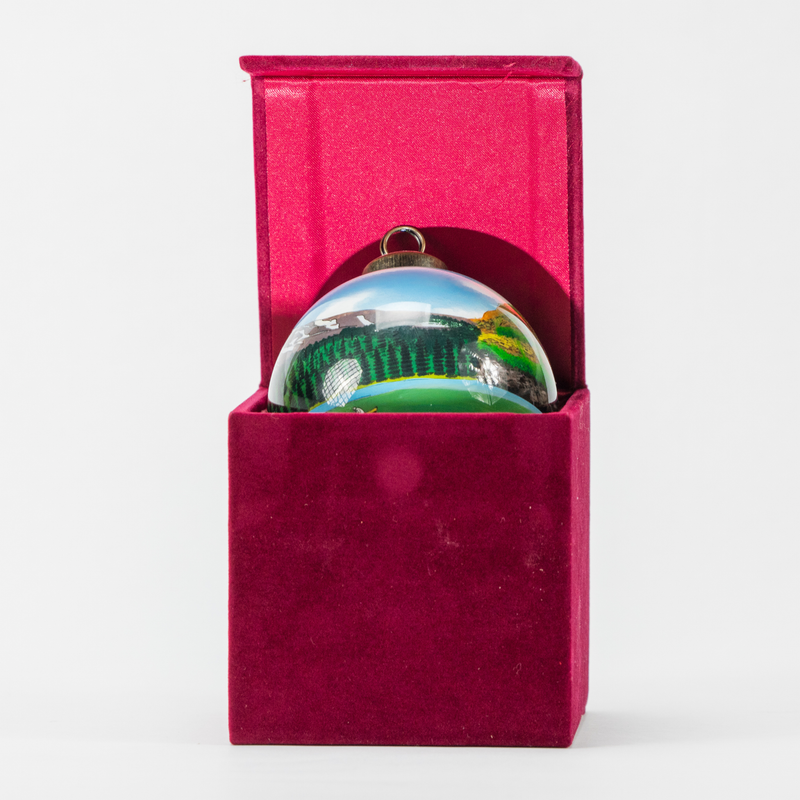 Load image into Gallery viewer, Hand-Painted Oregon Glass Ornament
