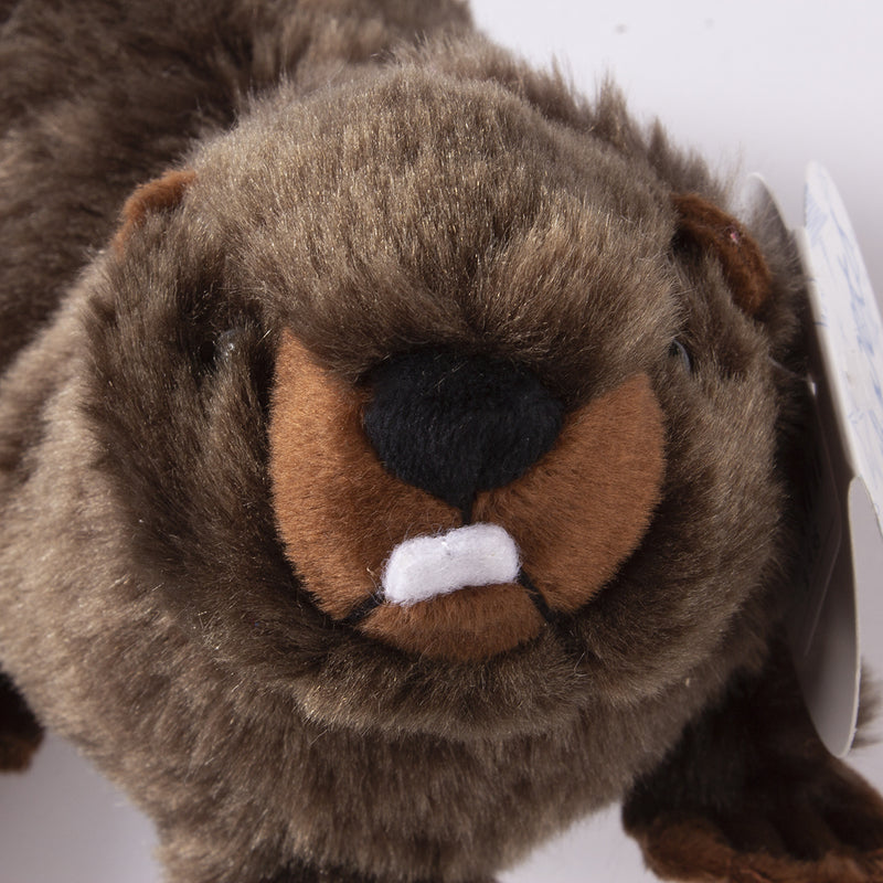 Load image into Gallery viewer, Commemorative Plush Oregon Beaver Face
